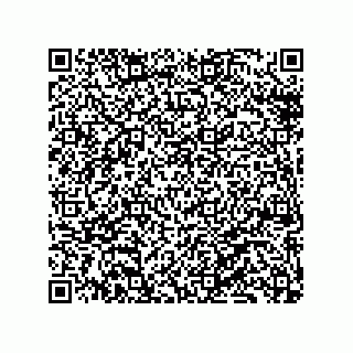 vCard 79130002053