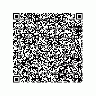 vCard 79130002078