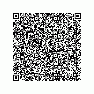 vCard 79130002095