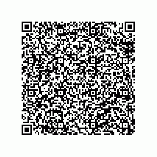 vCard 79130002096