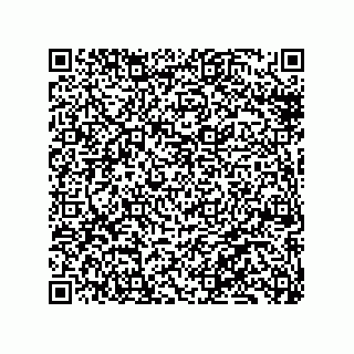vCard 79130002099