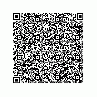 vCard 79130002133