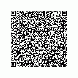 vCard 79130002163