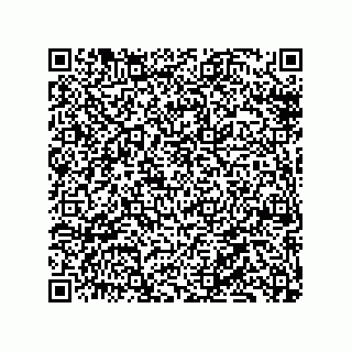 vCard 79130002173