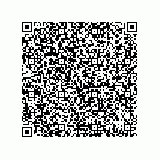 vCard 79130002203