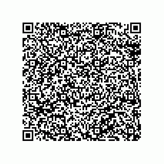 vCard 79130002401
