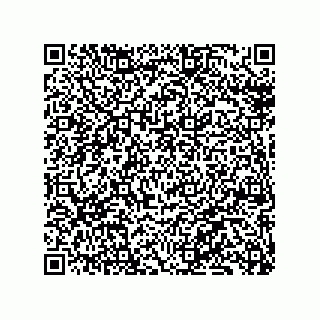 vCard 79130002405