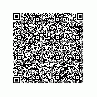 vCard 79130002413