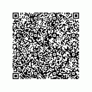 vCard 79130002419