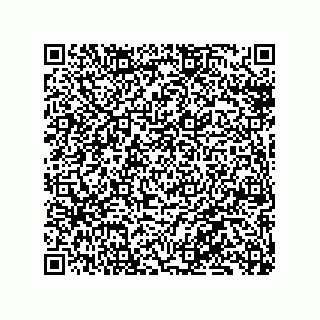 vCard 79130002431