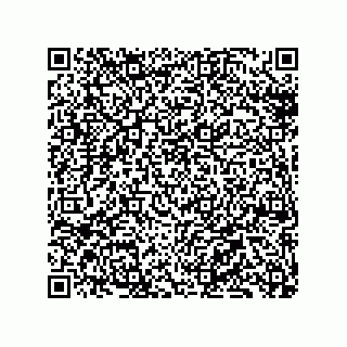 vCard 79130002517