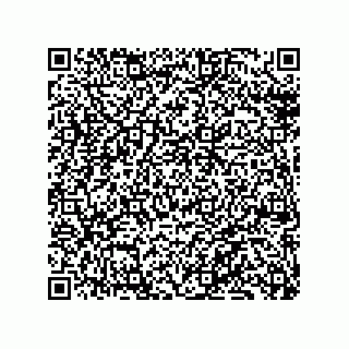 vCard 79130002905