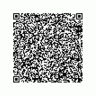 vCard 79130002910