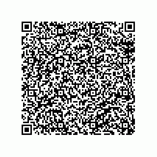 vCard 79130003005