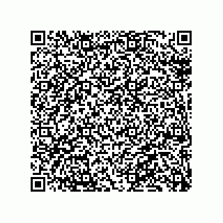 vCard 79130003104
