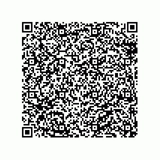vCard 79130003117