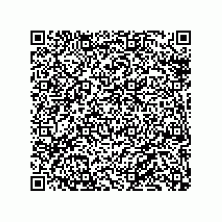 vCard 79130003173