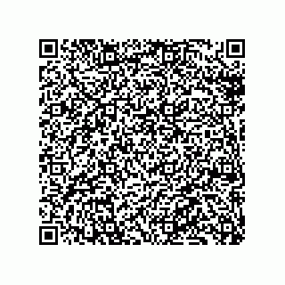 vCard 79130003315