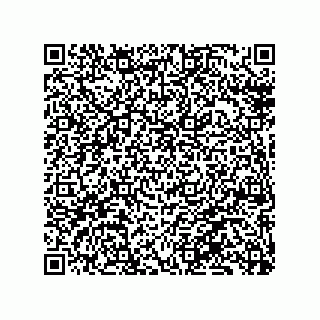 vCard 79130004020
