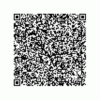 vCard 79130004132