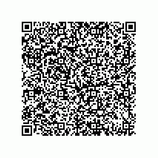 vCard 79130004153