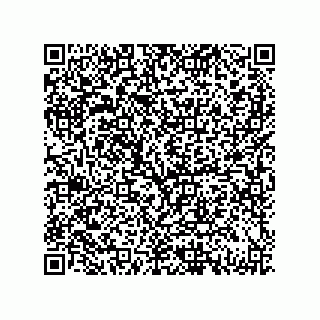 vCard 79130004162