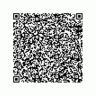vCard 79130004203