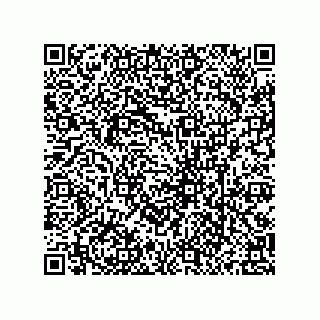 vCard 79130005294