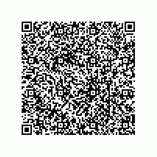 vCard 79130005355