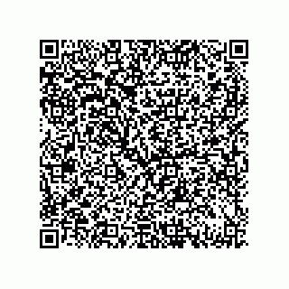 vCard 79130006032