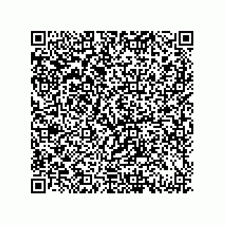 vCard 79130006041