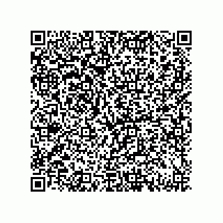 vCard 79130006053
