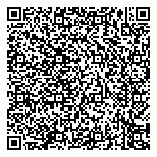 vCard 79130200336