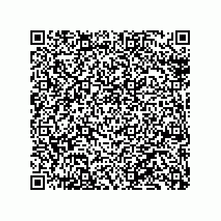vCard 79130600002