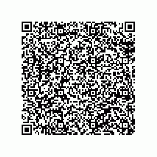 vCard 79130600005