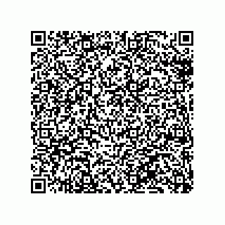 vCard 79130600010