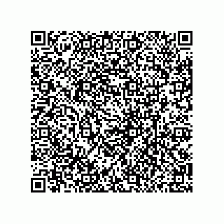 vCard 79130600011