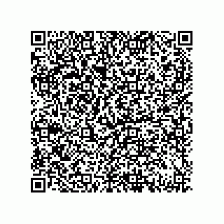 vCard 79130600021