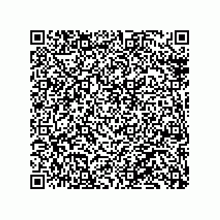 vCard 79130600022