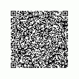 vCard 79130600041