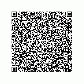 vCard 79130600053