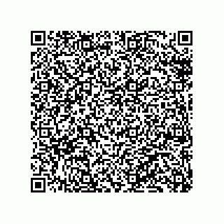 vCard 79130600055