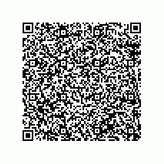 vCard 79130600060