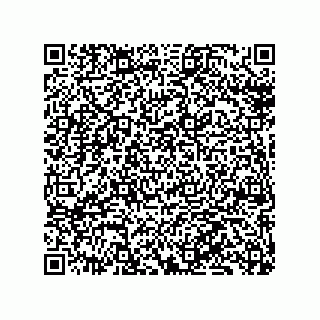 vCard 79130600201