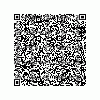vCard 79130600317