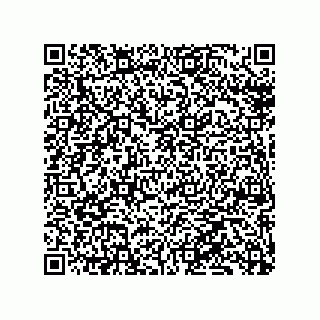 vCard 79130600402