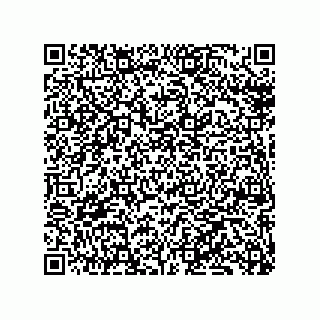 vCard 79130600405