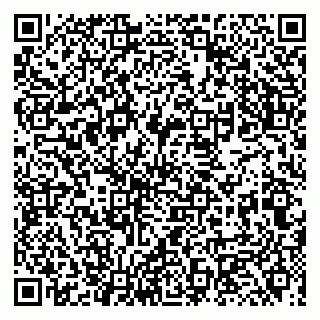 vCard 79131000039