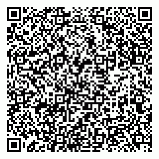 vCard 79131000173