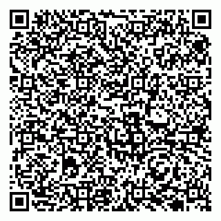 vCard 79131000215
